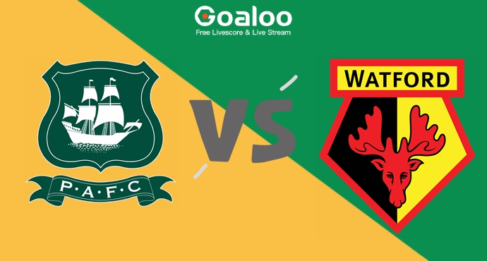 Plymouth vs Watford Prediction 23 November 2024
