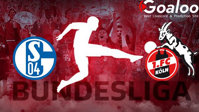 Schalke 04 VS FC Koln Prediction German Bundesliga