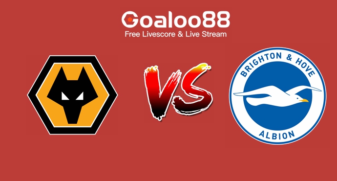 Wolves VS Brighton Hove Albion Prediction England FA Cup