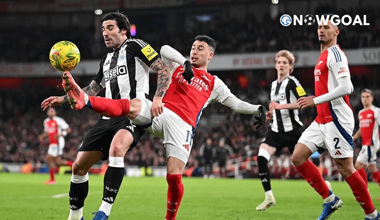 Arsenal 0-2 Newcastle United Player Ratings
