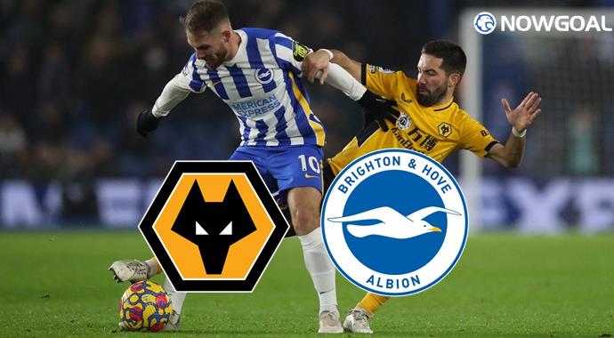 English Premier League - Wolves VS Brighton Hove Albion Prediciton