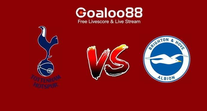 Tottenham Hotspur VS Brighton Hove Albion Prediction English Premier League