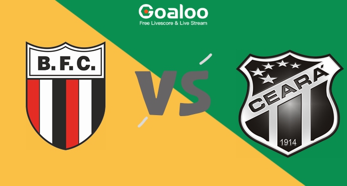 Botafogo vs Ceara Prediction 13 November 2024