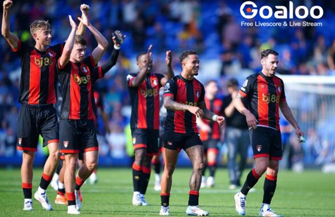 AFC Bournemouth's win at Everton 'key' ahead of international break