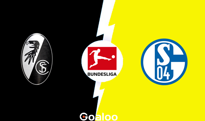 ​Freiburg vs Schalke Prediction Bundesliga