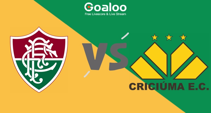 Fluminense vs Criciuma Prediction 27 November 2024