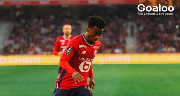 Tottenham Join Race for Lille's Angel Gomes