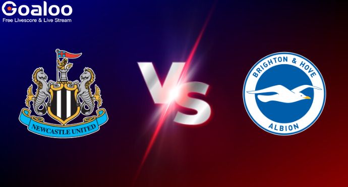 English Premier League---Newcastle United VS Brighton Hove Albion Preview