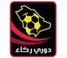 Saudi Arabia Division 1