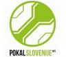 Slovenia Cup