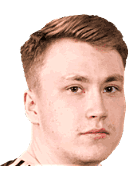 Tikkanen V.
