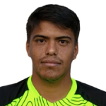 Meza P.