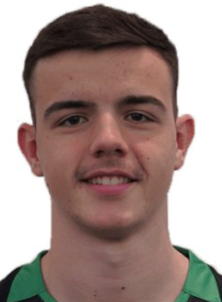 Milanovic N.