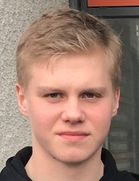 Ingolfsson T. F.
