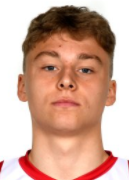 Isak Vik