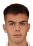 Mihajlo Petkovic