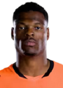 Denzel Dumfries
