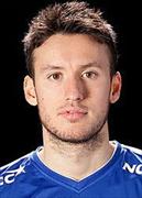 Amir Suljic