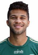 Sergio Ricardo dos Santos Junior,Serginh