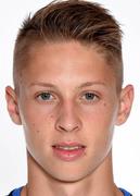 Dardai P.
