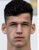 Gillekens J.