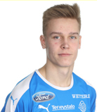 Tamminen M.