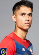 Luiz Araujo