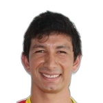 Villamayor H.