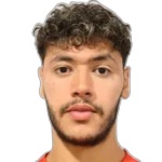 Ali Nader Mahmoud