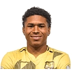 Fabian Alexis Suárez