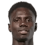 Cheikh Fall
