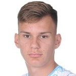 Babic A.