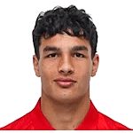 Adem Avdic