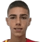 Anicic P.