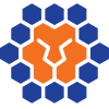 Queensland Lions FC logo