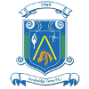Newbridge Town logo