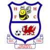 Holyhead Hotspur