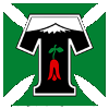 Deportes Temuco (W) logo
