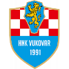 เอชเอ็นเค วูคอวาร์ 91 logo