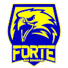 ฟอร์เต ริโอ บานานัล ยู 20 logo
