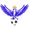 FC Tbilisi 2025 logo