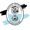 Cisanese logo