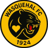 Wasquehal