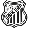 บอร์ 1919