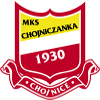 Stal Stalowa Wola