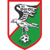 Gornik Polkowice