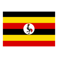 Guinea