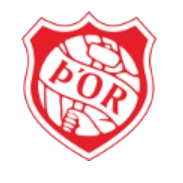 Fylkir'Ellidi U19