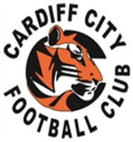Cardiff City (AUT)