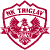 NK Radomlje U19